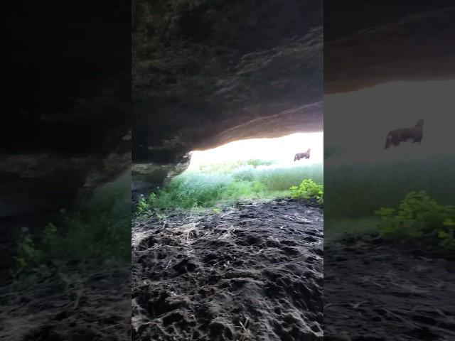 Found Cave With Ancient Symbols Inside - Searching High Desert For Prehistoric Camps