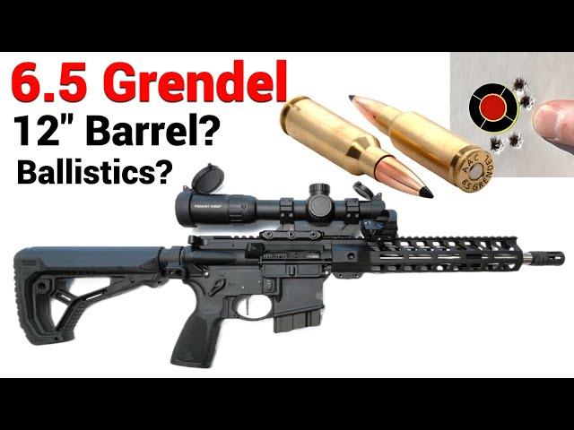 6.5 Grendel - 12" Barrel?  What can YOU expect?