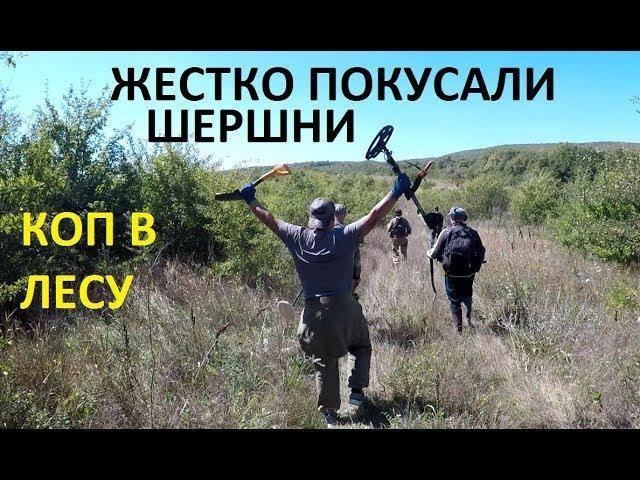 Поиск в лесу, шурф! Жестко покусали ШЕРШНИ!