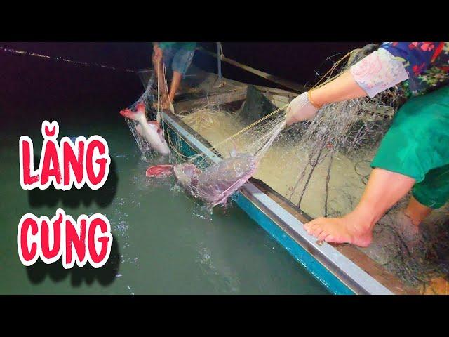 Anh Tèo Làm Sẩy Con Cá ,Tối Nay Về No Đòn Rồi | #66TV #fishing