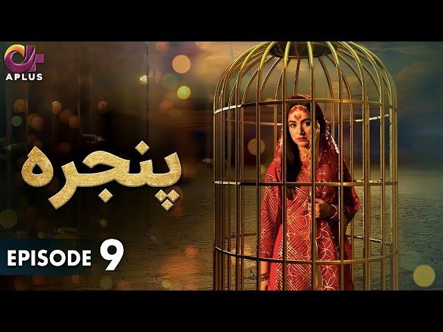 Pakistani Drama | Pinjra - Episode 9 | Aplus Gold | Yumna Zaidi, Nauman Aijaz | CZ1O