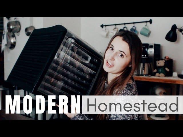 What is a Modern Homestead? | Something Old and Something New