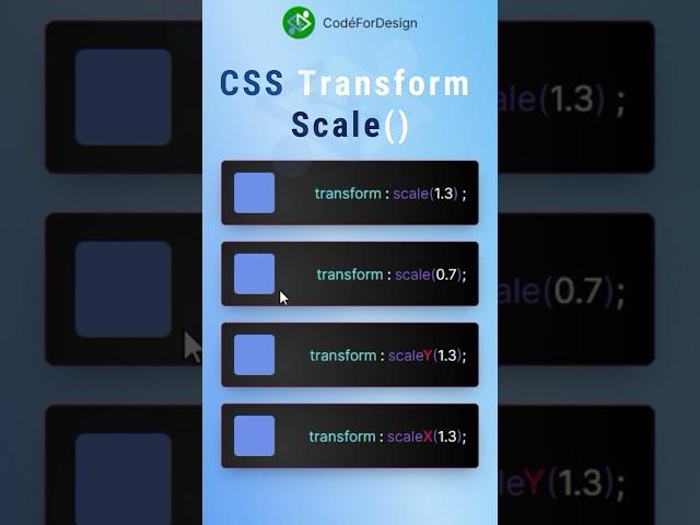 CSS transform Scale() | #codefordesign