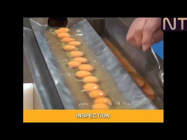 World Amazing Automatic Food Processing Machines | Modern Food Processing Technology | N Technology