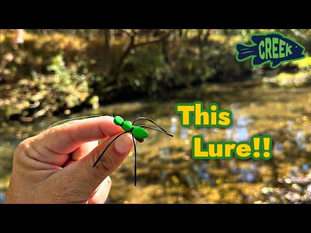 Fall TOPWATER Creek Fishing (Bug Lure)