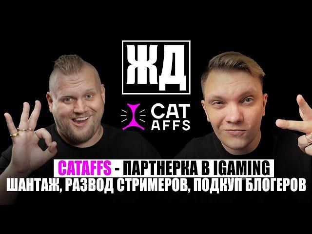 ЖД | CatsAff - переводом игроков, работа со стримерами, шантаж и сплетни! iGaming