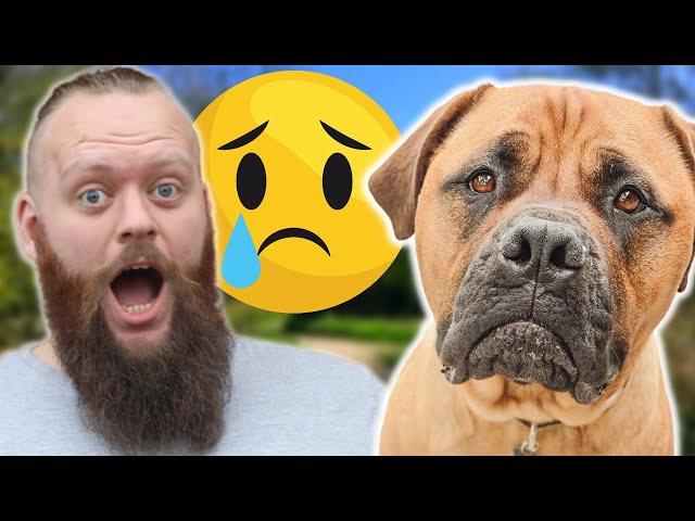 Harmful Things You Do To Your Dog Without Knowing