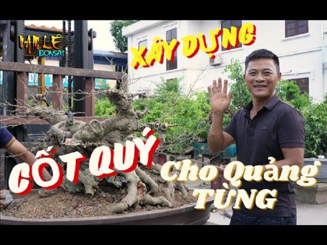 Xây dựng cốt quý cho '' QUẢNG TÙNG '' | NamLe Bonsai