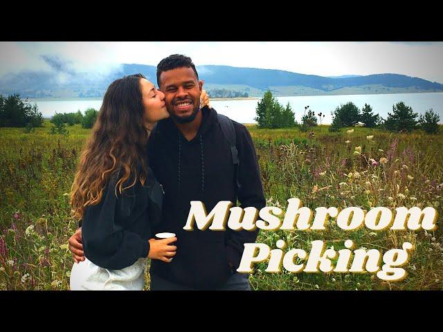 Huge Mushrooms In Bulgaria! 