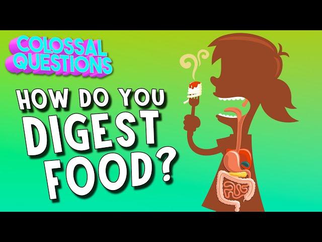 How Do You Digest Food? | COLOSSAL QUESTIONS