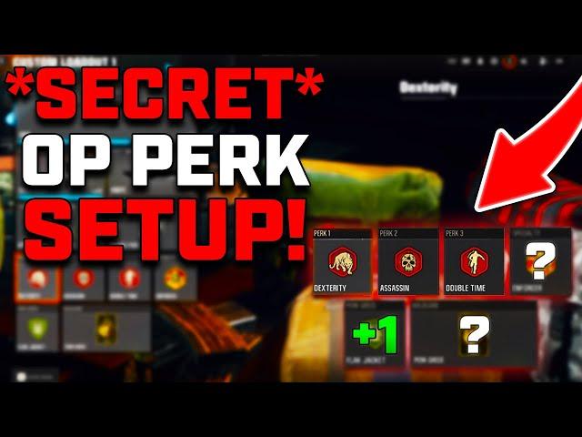 BEST PERK SETUP IN BO6! | SECRET OP PERK LOADOUT!