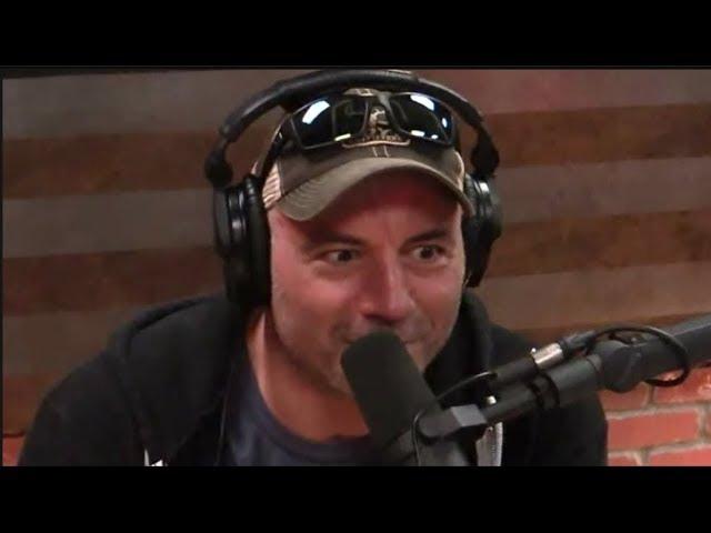 Joe Rogan Surprised Danica Patrick Isn't Into Cars - "I'm Not a Car Girl"