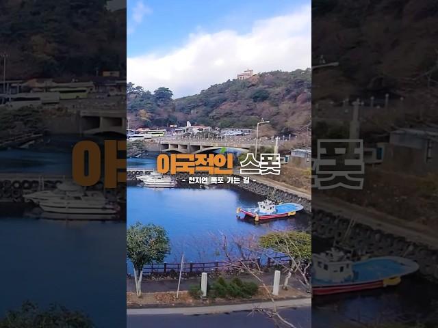 The Photo Spot in Jeju │눈이 가는 곳마다 예쁜 제주 포토 스폿 