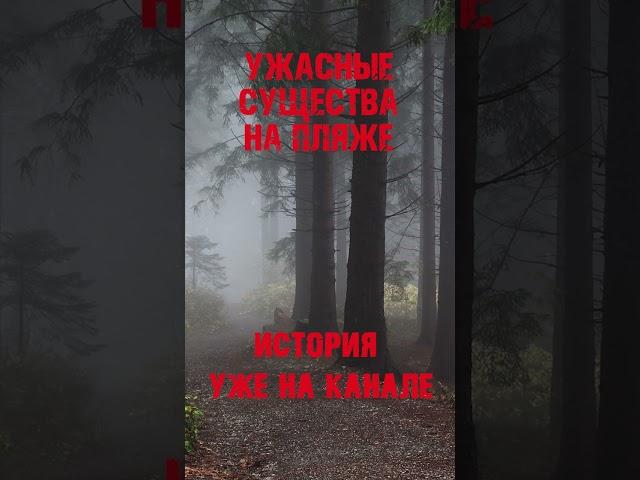 ЖУТКОЕ ПРОИСШЕСТВИЕ НА ПЛЯЖЕ - Мистика - Страшные истории на ночь #давайпочитаем #мистическиеистории