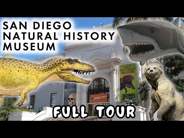 SAN DIEGO NATURAL HISTORY MUSEUM : Full Tour of Every Exhibit - Dinosaurs, Skulls, Reptiles & More!