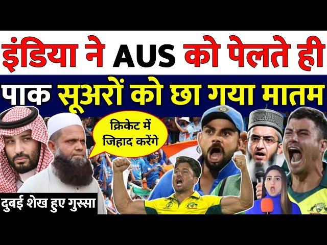 इंडिया ठोका ऑस्ट्रेलिया को पाकिस्तानी बौखला उठे | Dubai visa | India beat Aus | Pakistan ka reaction