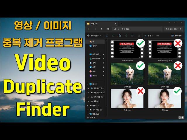 내 컴퓨터에 저장된 영상, 이미지 중복제거 프로그램 Video Duplicate Finder