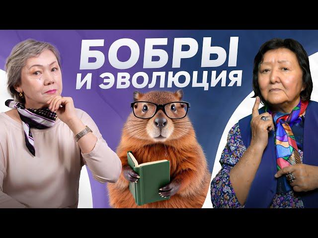 Почему мы глупее бобров