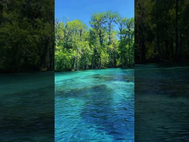 Follow us through the stunning waters of Silver Springs! #GetUpAndGoKayaking #ClearKayaking #VisitFl