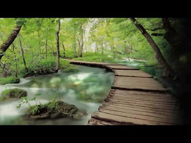 Gayatri Mantra-1.mp4