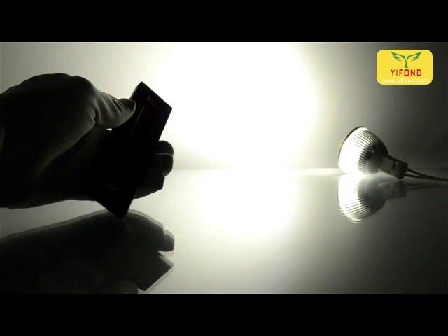 LED Bulbs Spot Lights Show