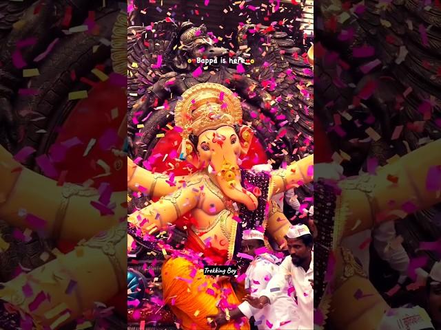 Ganpati Aagman 2024  #ganeshchaturthi#ganpati#ganptibappa#ganptibappamorya#gan#shorts#viral#love#rap