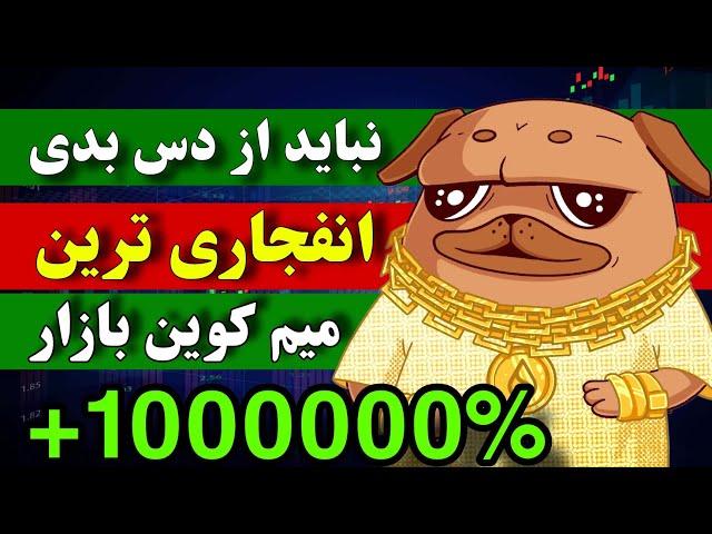 فووووری  انفجاری ترین میم کوین الان / مثل خرید شیبا در روز اول / این فرصت تکرار نمیشه