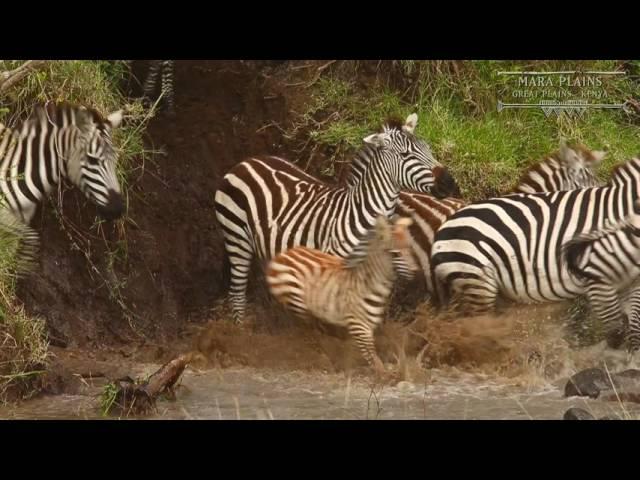 Welcome to Mara Plains - Great Plains Conservation