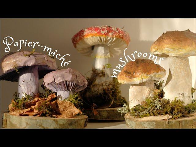 make mushroom sculptures with me ꩜