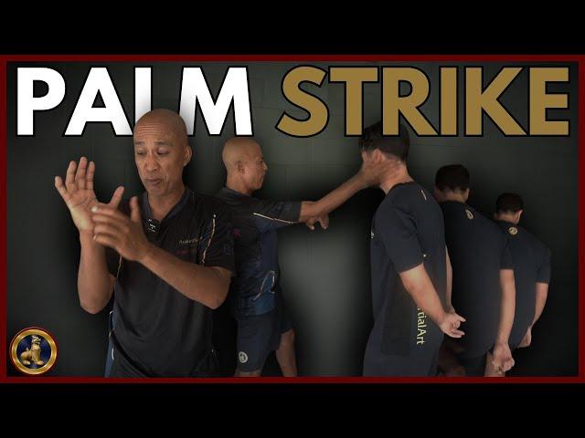 PALM STRIKE: Learn a powerful martial art strike