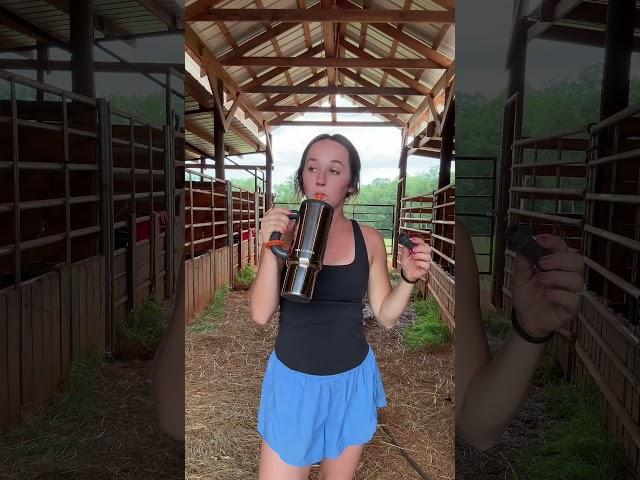 love my new chako lab water bottle #western #horse #horsebarn #waterbottle #chakolab #cleaning