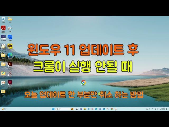 윈도우 업데이트 후 크롬이 실행 안될 때