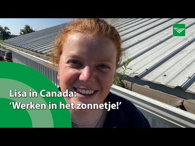 Lisa in Canada: ‘Werken in het zonnetje!’