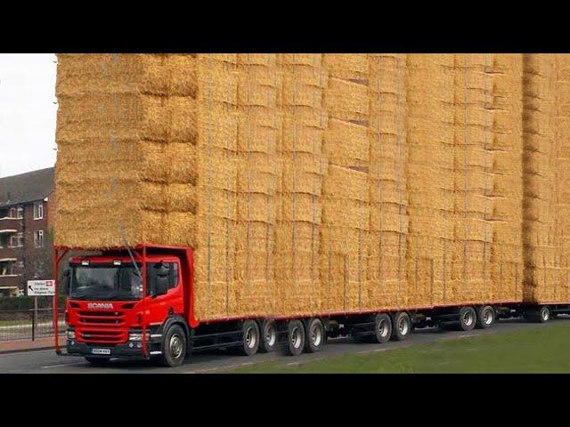 Adventures in High-Tech Cow Milking Unconventional Transport Bales and a Charming Farmer