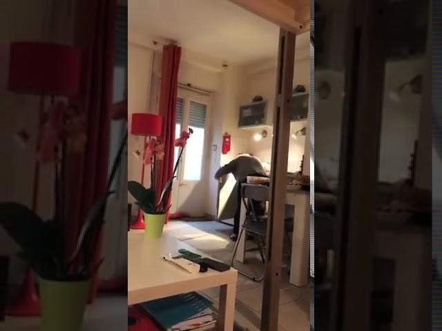 Studio Danielle _ DANIELLE SE PREND POUR_HIGH Live 2018