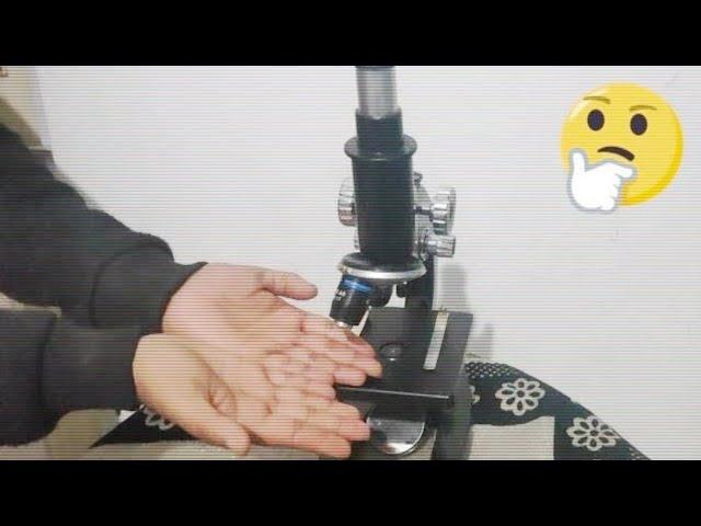 हाथों पर जिंदा चलते बैक्टीरिया देखें // Bacteria Under Microscope // Bacteria in a microscope