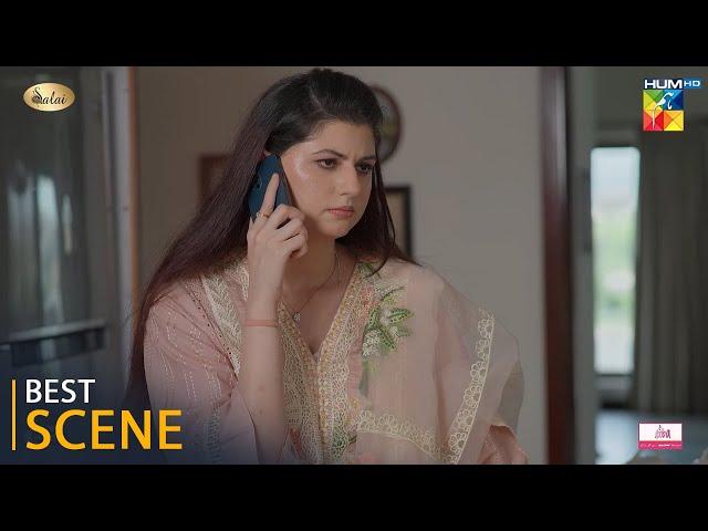 Jafaa - Episode 17 - Best Scene 03 - #mawrahussain #seharkhan #mohibmirza #usmanmukhtar - HUM TV