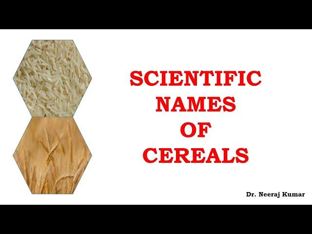 Scientific or botanical names of Cereals