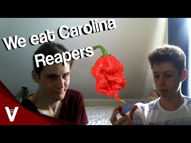 We eat Carolina Reapers