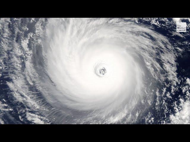 Eyewall Replacement Cycles Inside Hurricanes