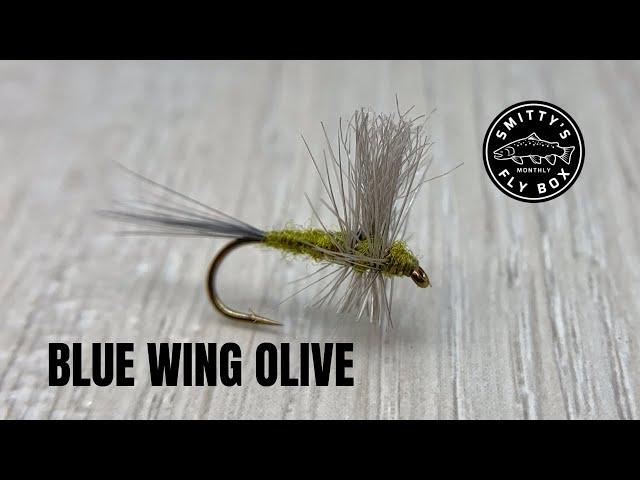 Blue Wing Olive