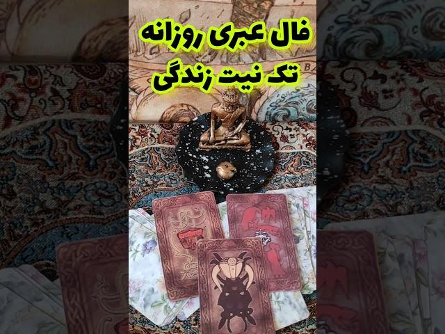 فال تاروت قهوه آسمان فال تک نیت روزانه زندگی احساس و برگشت معشوق آموزش فال رایگان #tarot #فال