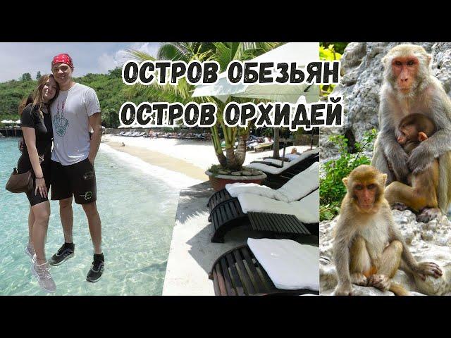 Вьетнам Нячанг 2023/ Остров обезьян/ Остров Орхидей/ Обзор, стоимость, впечатления