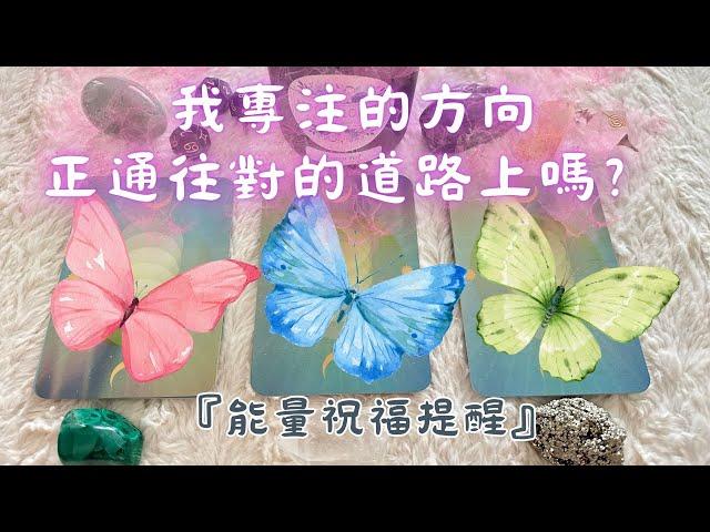 塔羅占我專注的方向正通往對的道路上嗎？『能量祝福提醒』''cc字幕''