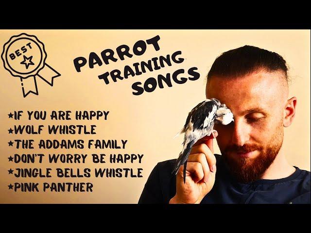 Best Parrot Training,  Whistle Practice for Cockatiels,  Parrot Whistle Training