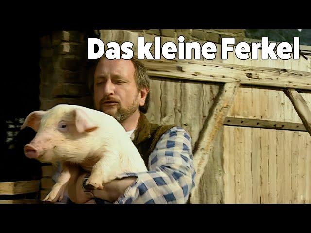 Dieter Hallervorden  - Das kleine Ferkel