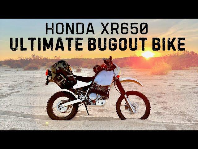 Budget Friendly Bugout: Is the XR650L the Perfect Bike to be Prepared for the Worst Case Scenario?