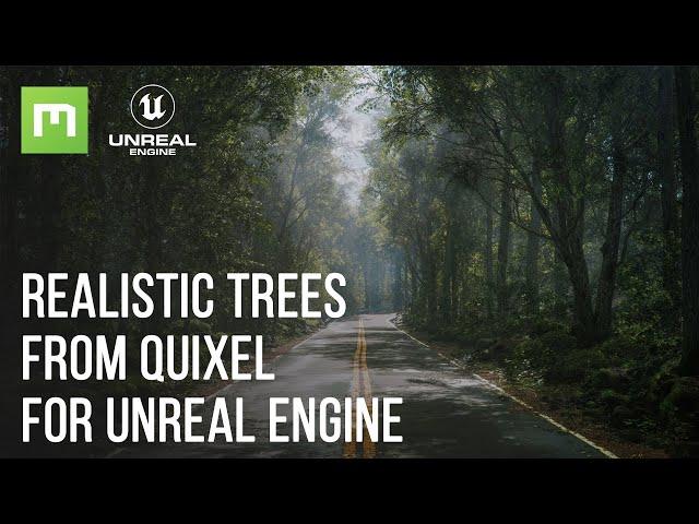 How to Use Megascans Trees in Unreal Engine 5 Tutorial