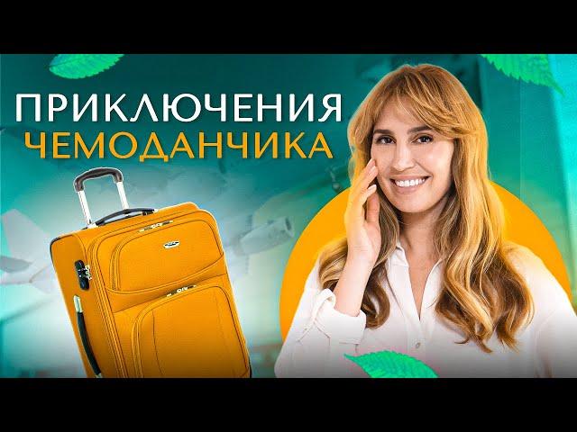 ТВЦ — Приключения чемоданчика | Диана Ходаковская