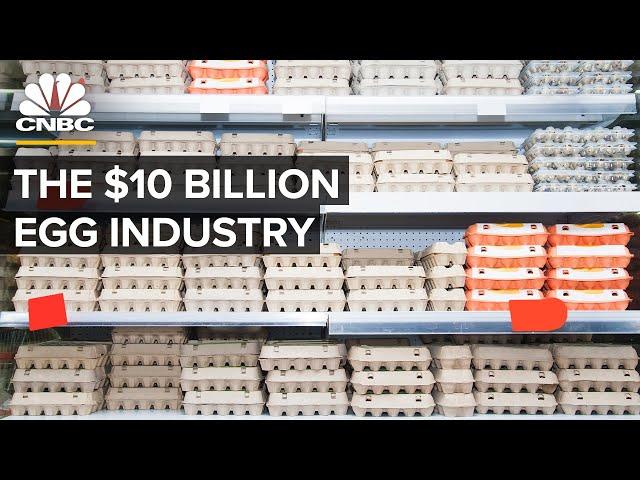 Who Makes Money From Eggs